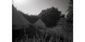two tents in a field with trees