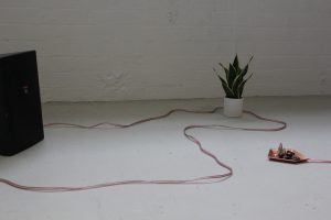 A white floor with a pot plant, audio cable, speaker and small tray of stones