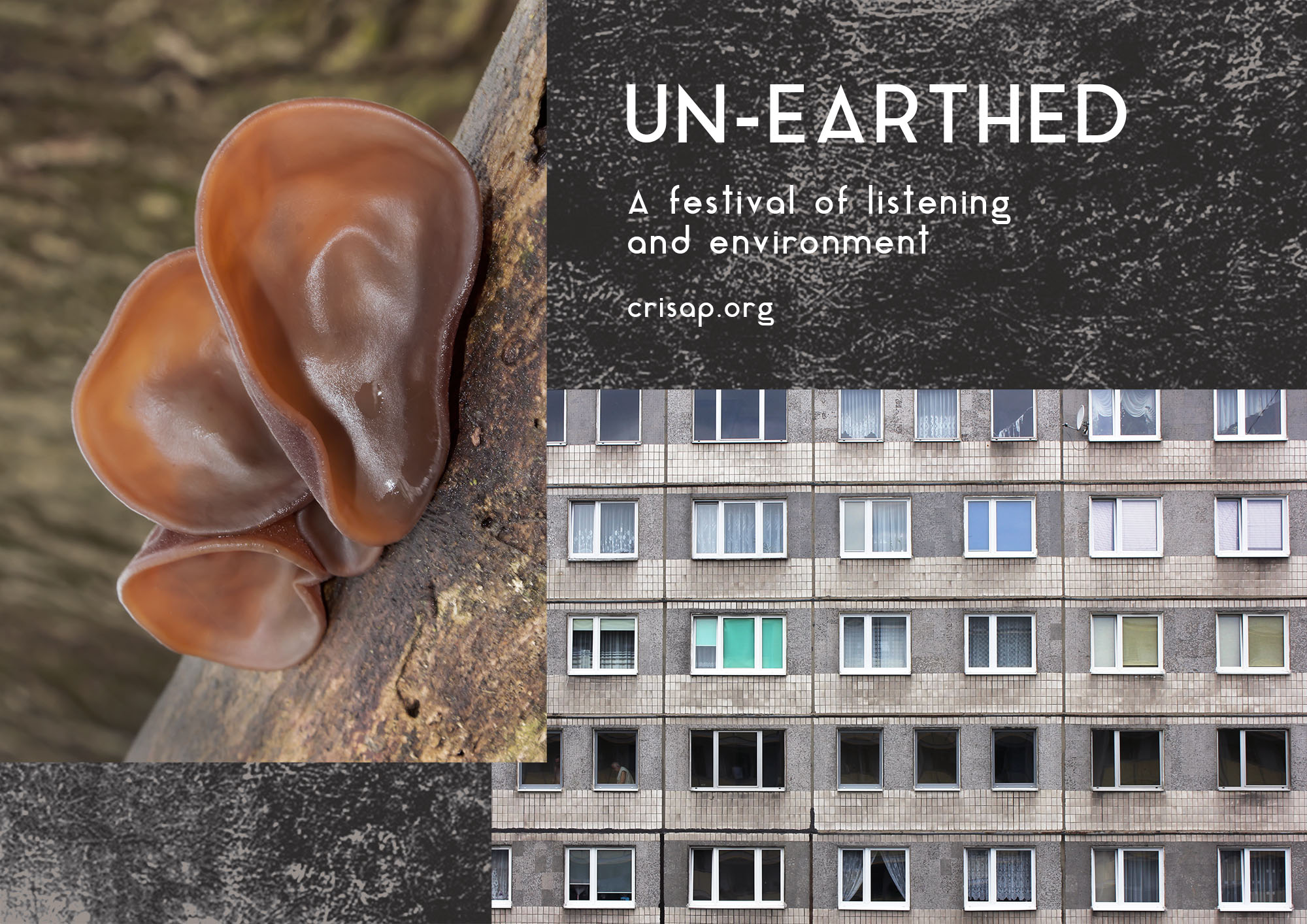 mushrooms that look like ears on a branch, collages with a building facade and text "unearthed a festival of listening and environment, crisap.org"