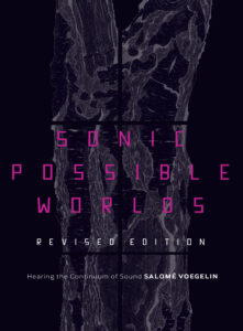 Sonic possible worlds revised edition - book cover