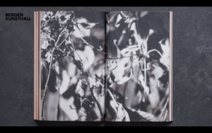 book pages showing black and white images of plants