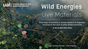 warer surface with plants, lily pads and the reflection of sky. Wild Energies event poster white text over laid, transcribed on webpage
