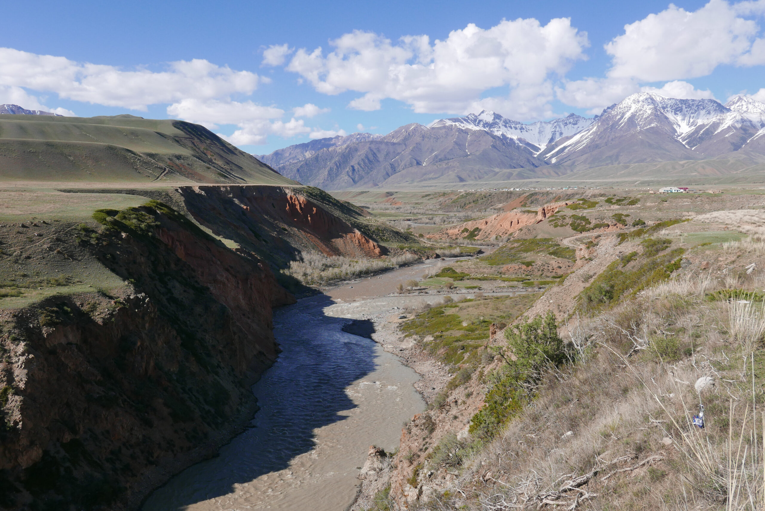 River Naryn, a brown river running through rocky mountains with dusty green trees/shrubs across the landscape