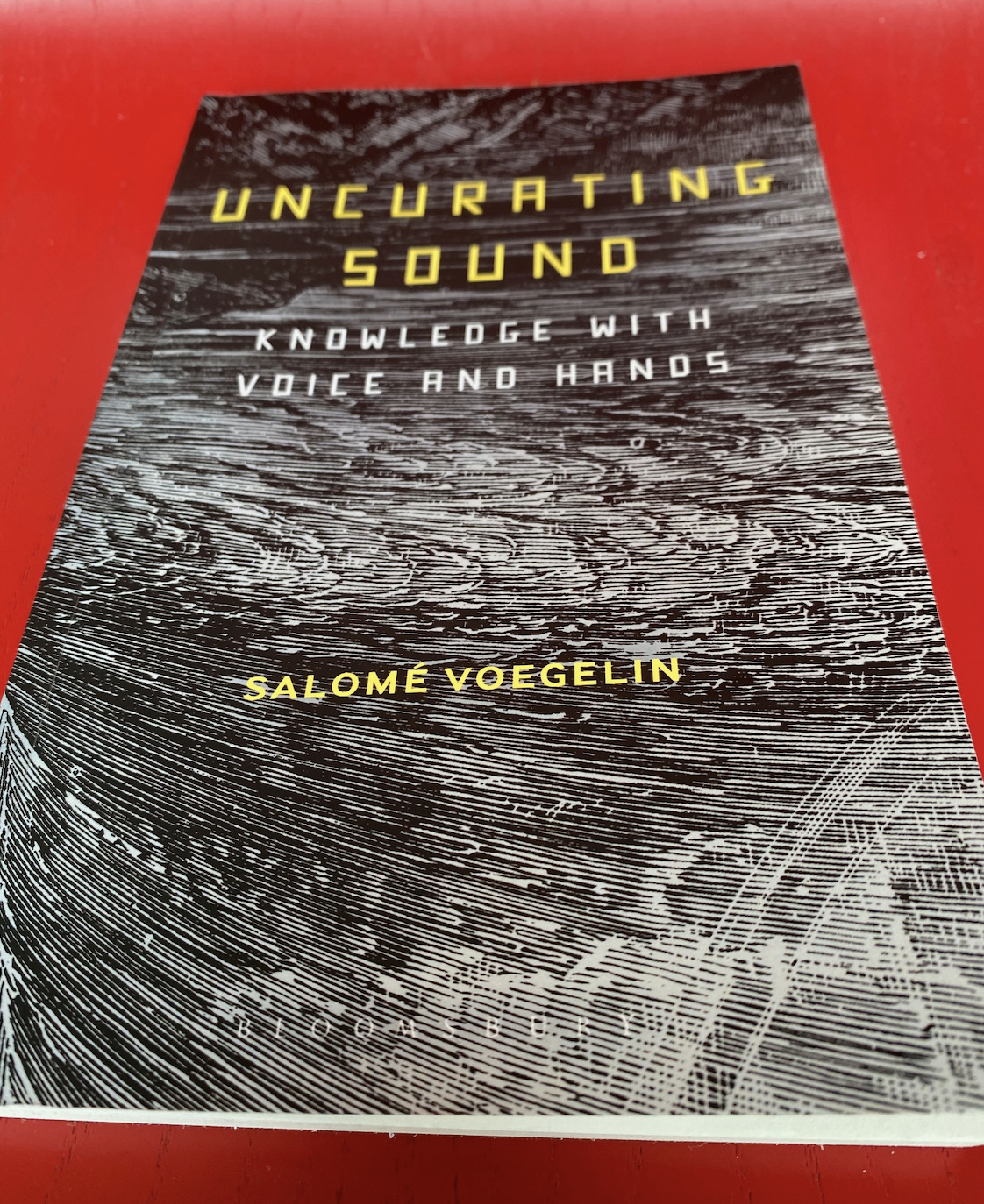 Book on a red background. Book title: Uncurating sound, knowledge with voice and hands. Salomé Voegelin. The book cover is a black and white image of a textured surface