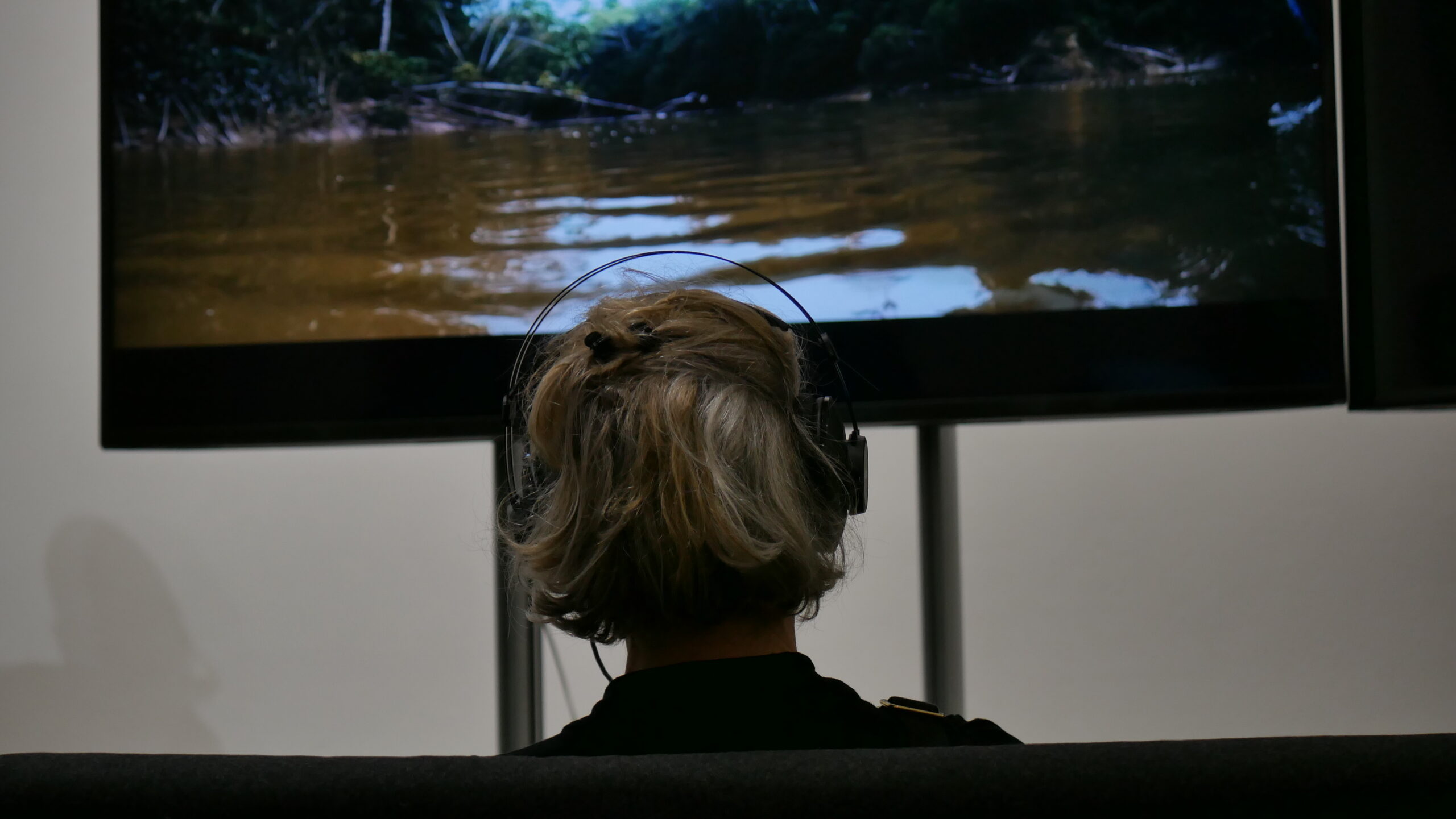 Back of person's head with headphones on watching video on screen of river